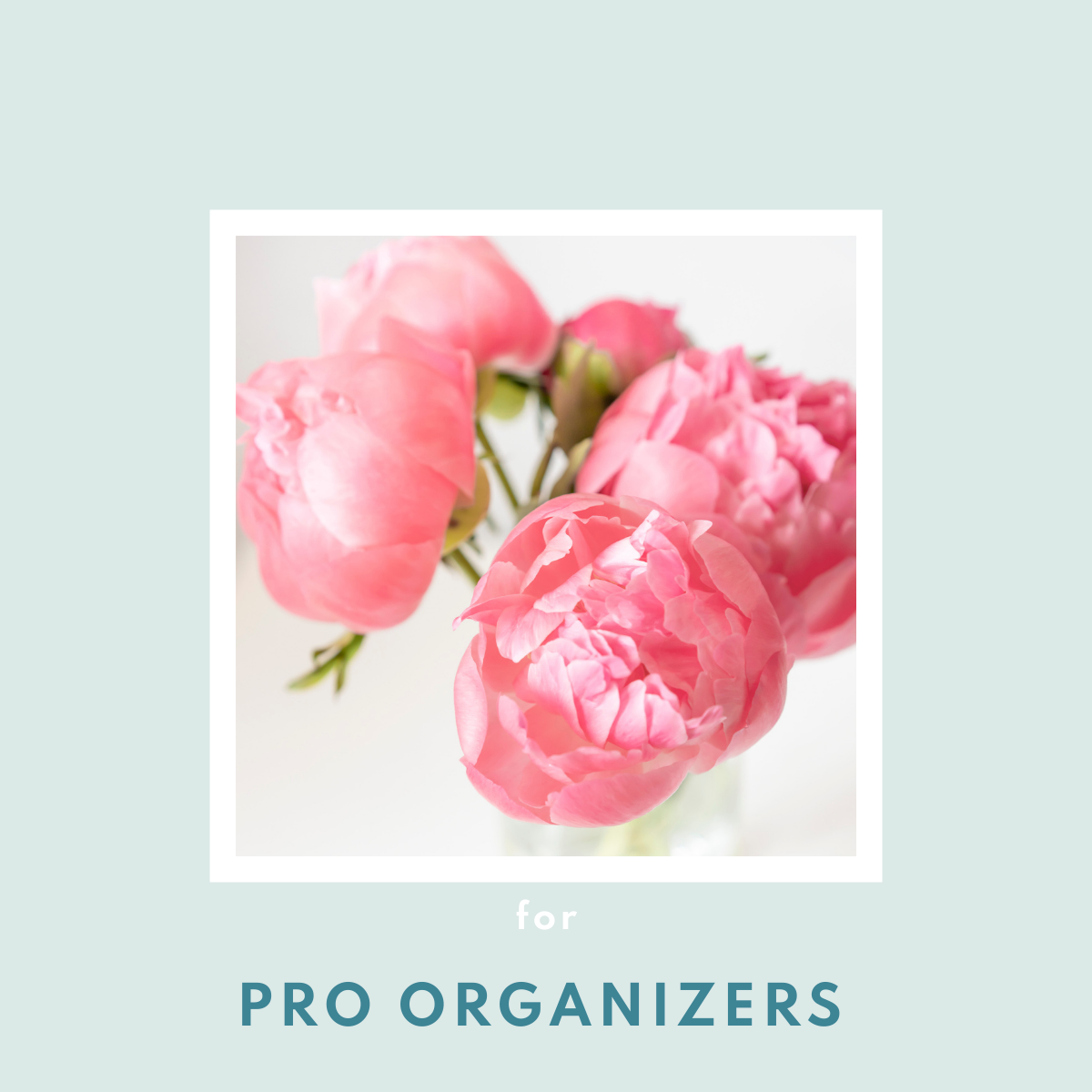 For Professional Organizers